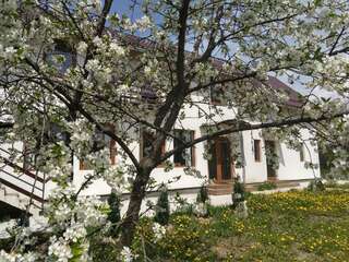 Фото Гостевой дом Vendel Guesthouse г. Lutoasa